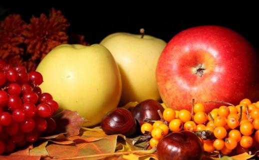 孕吐危險嗎?孕吐怎么辦?