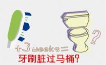 牙刷和口紅真的臟過馬桶？