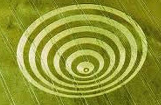 麥田怪圈的真相