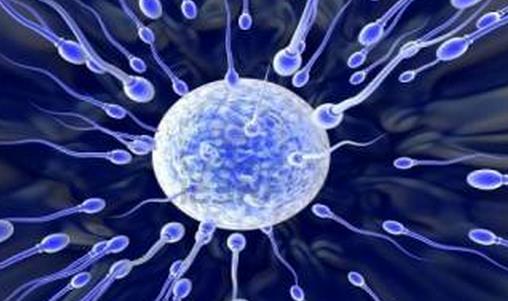 影響男性精子質量的食物和習慣