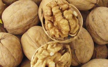 核桃_核桃的營養價值,功效與作用,選購,食用方法,儲存,吃法 核桃_核桃的營養價值,功效與作用,選購,食用方法,儲存,吃法