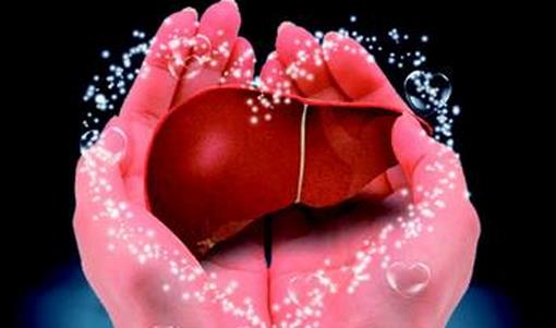 如何有效的養(yǎng)肝護(hù)肝?中醫(yī)傳授6大護(hù)肝秘訣