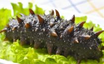 海參有什么功效？吃海參的注意事項