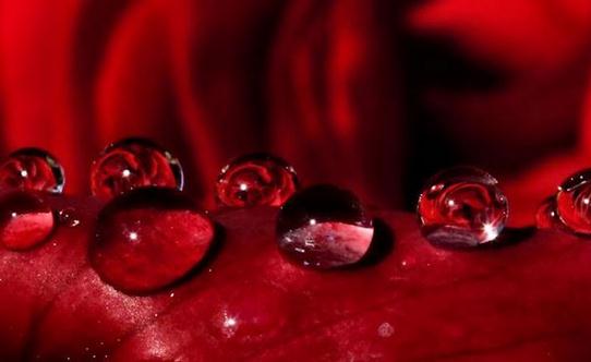 小胸MM吃什么能豐胸？食用菌類