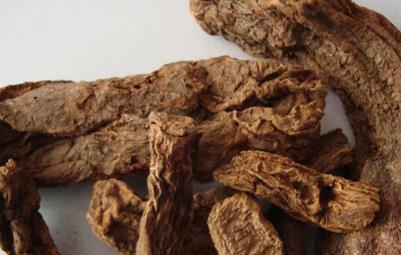 鎖陽怎么泡酒可以壯陽