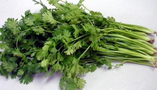 香菜有什么功效?香菜怎么保存?