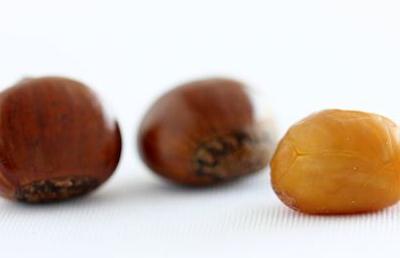 女人吃什么食物補腎養腎