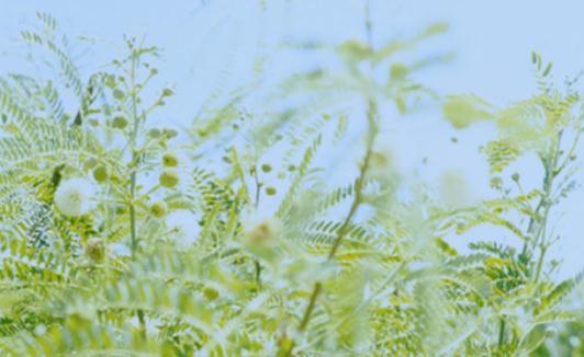 如何表達你的愛?給予不要保留