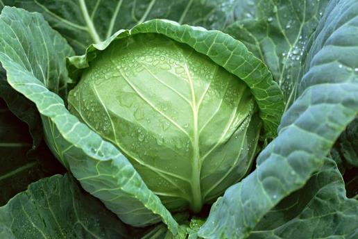 為什么會(huì)得健忘癥?增強(qiáng)記憶力的食物有哪些?