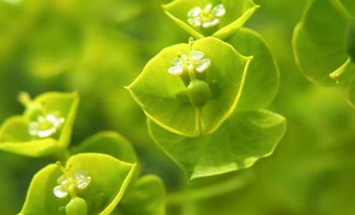 多給他一點尊重他會更愛你！