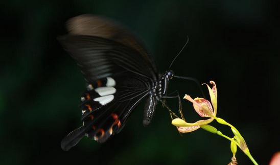 哪種職業(yè)的女人最不好嫁?