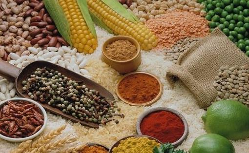 哪些食物易引起便秘?吃什么治療便秘?