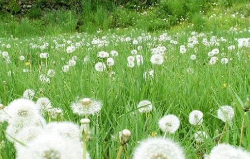 不同年齡段的女人喜歡什么樣的男人？