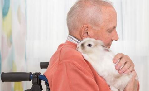 老人抑郁小心發展成癡呆癥