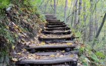 戀愛恐懼癥會有什么癥狀？