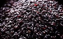 五種冬季養腎食物推薦