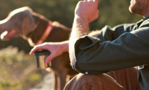 為何結婚后沒有戀愛的激情了?