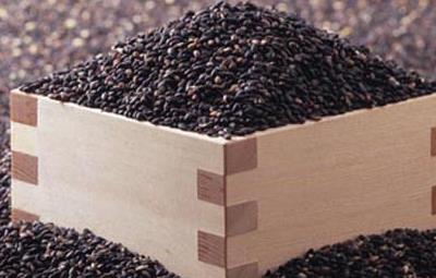 有益于黑發的八種食物