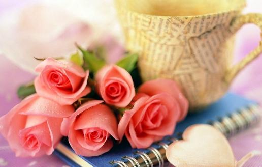 和我了解一下女人的甜蜜謊言吧!