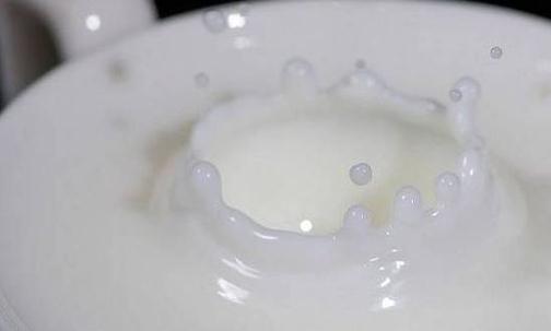 牛奶需要煮嗎?喝牛奶有哪些禁忌?