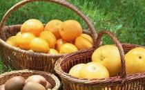 這6色食物幫女性滋補養顏