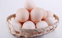 洋雞蛋營養也高 雞蛋并非“越土越好”？