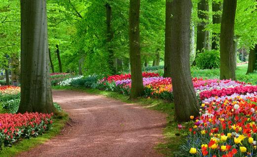 空中花園的環(huán)境指標是怎樣的?