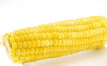 玉米可以防治多種疾病