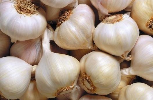 大蒜能治療陽痿?盤點大蒜的養生功效