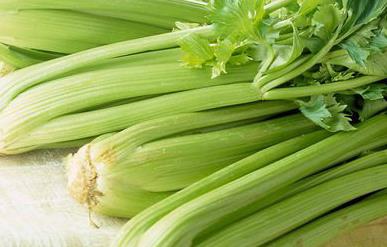 中老年人禿頂多吃芹菜香菜