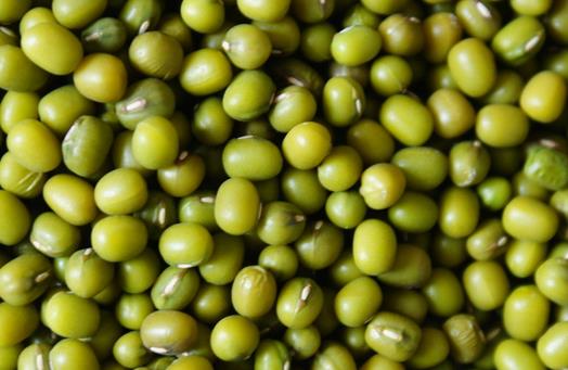 吃什么去濕？盤點10種清熱去濕的食物