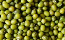 吃什么去濕？盤點10種清熱去濕的食物