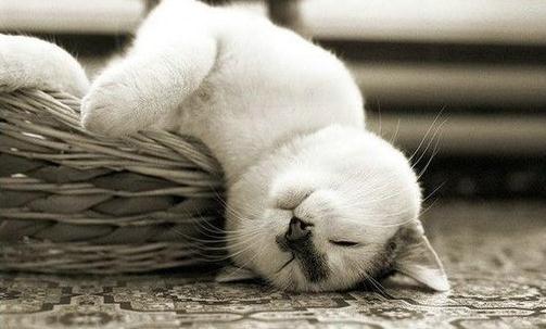 如何治療經常頭暈?頭暈的原因