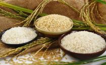 大米生蟲的處理方法-預防大米生蟲的方法