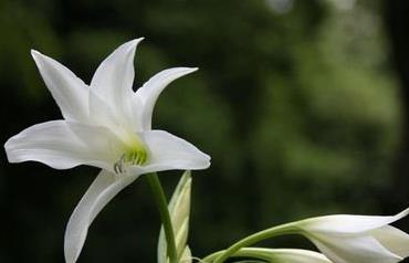 女性腎虛的7大表現 應該吃什么