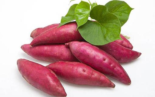 紅薯發(fā)芽了還能吃嗎?食用紅薯的注意事項(xiàng)