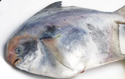 吃鯧魚降低膽固醇預防癌癥