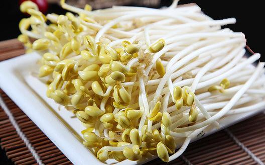 發芽的食物究竟能不能吃?