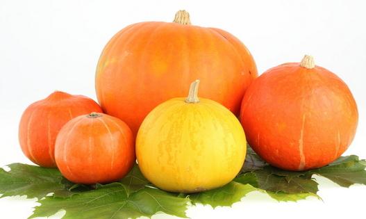 南瓜的營養(yǎng)價值高 但不能與6種食物同吃