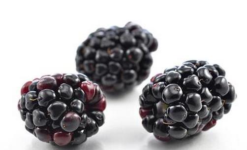 女性補(bǔ)腎吃什么水果最好?