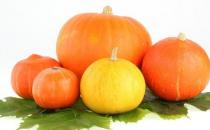 南瓜的營養價值高 但不能與6種食物同吃