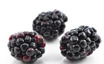 女性補(bǔ)腎吃什么水果最好？