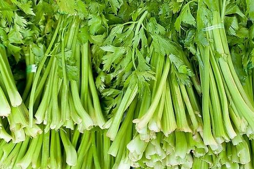 芹菜有哪些藥用功效?吃芹菜可預(yù)防動脈硬化