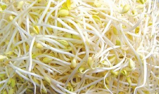 毒豆芽危害大 如何鑒別毒豆芽?