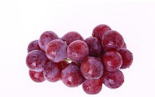 辦公室10大最佳滋補養生法