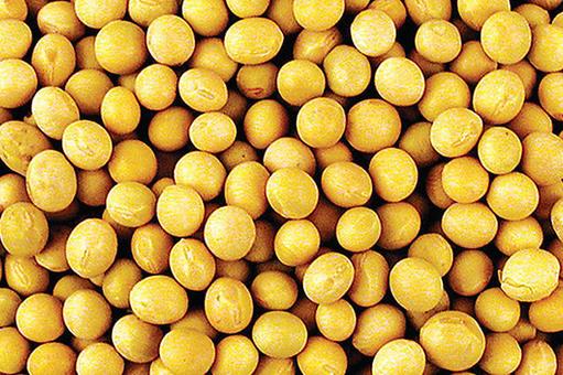 酸養肝苦養心 調理五臟的食物推薦