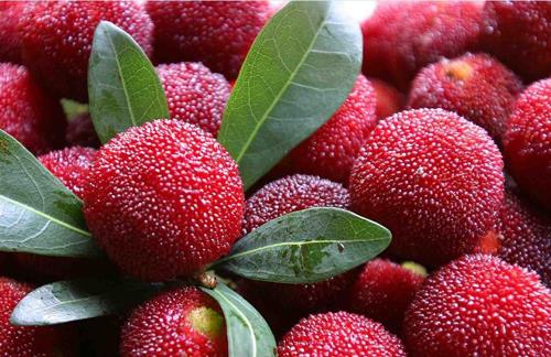 哪些壞習(xí)慣會(huì)導(dǎo)致白領(lǐng)不孕不育