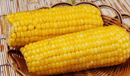 減肥晚餐吃什么好?晚餐吃這些效果超減肥藥