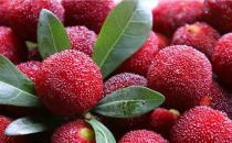 哪些壞習(xí)慣會(huì)導(dǎo)致白領(lǐng)不孕不育