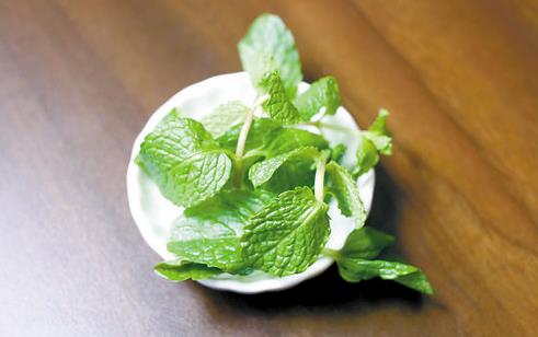 營養豐富的薄荷 介紹4款薄荷的食療藥膳方